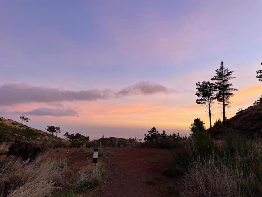 Mountain Eco Shelter 5 Hotel Funchal  Buitenkant foto
