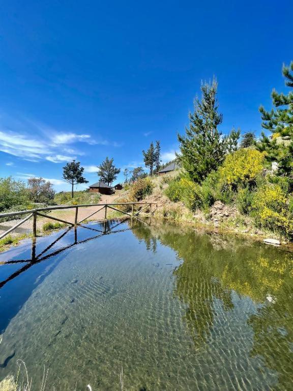 Mountain Eco Shelter 5 Hotel Funchal  Buitenkant foto
