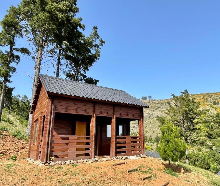 Mountain Eco Shelter 5 Hotel Funchal  Buitenkant foto